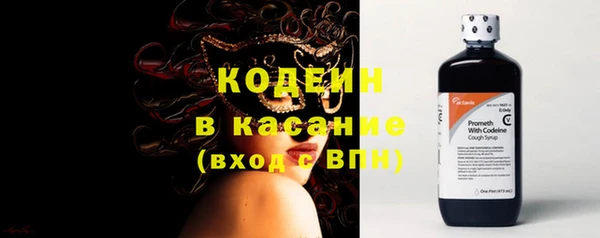 гашик Каменка