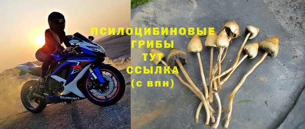 мяу мяу мука Кинешма