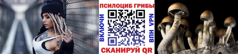 Псилоцибиновые грибы мицелий  Ковылкино 